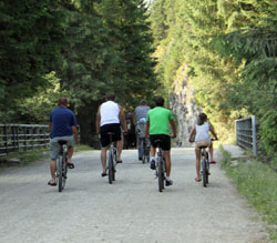 pine lodge breaks with bicycle paths and hire