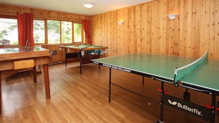 Self Catering games room