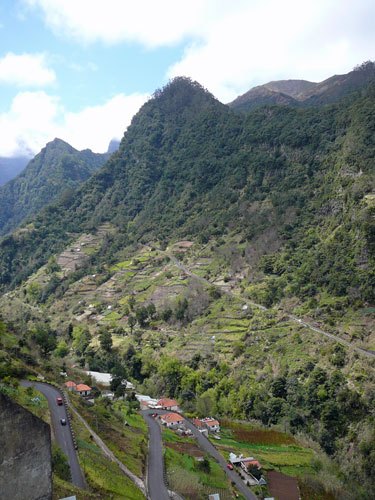 madeira, terraced hillsides