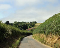 country lanes edged by hedgerows