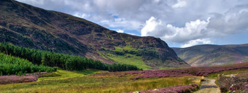 Dog Friendly Self Catering Cottages In Scotland Pets Allowed